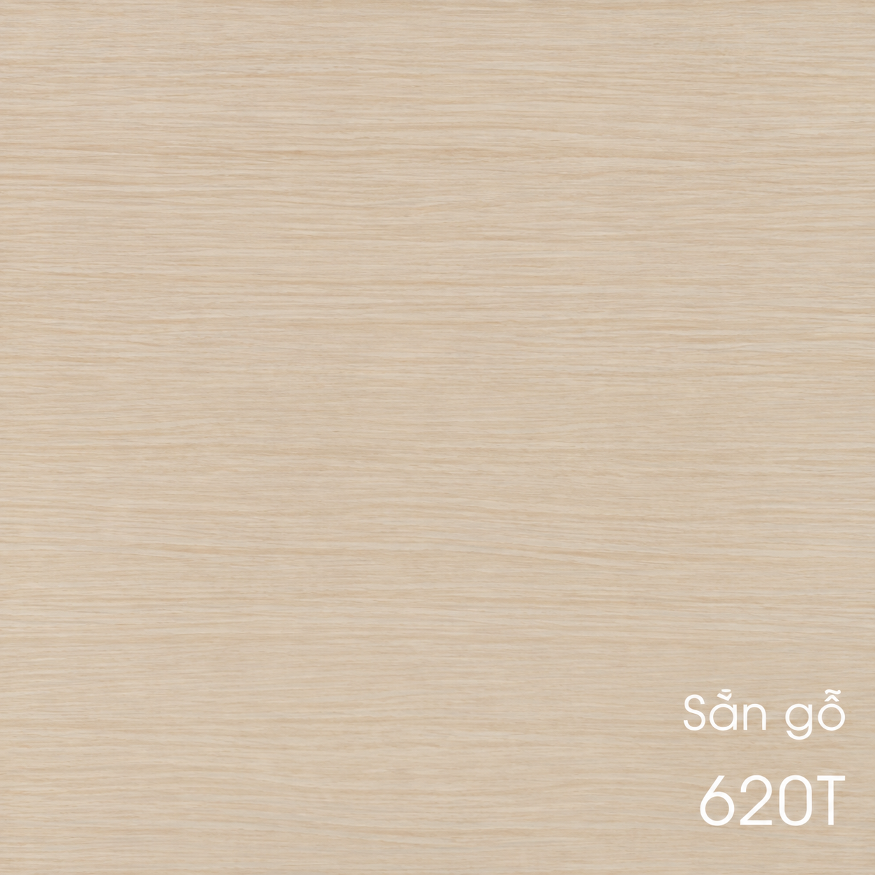 620T
