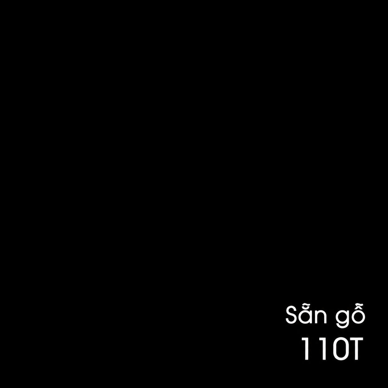 110T