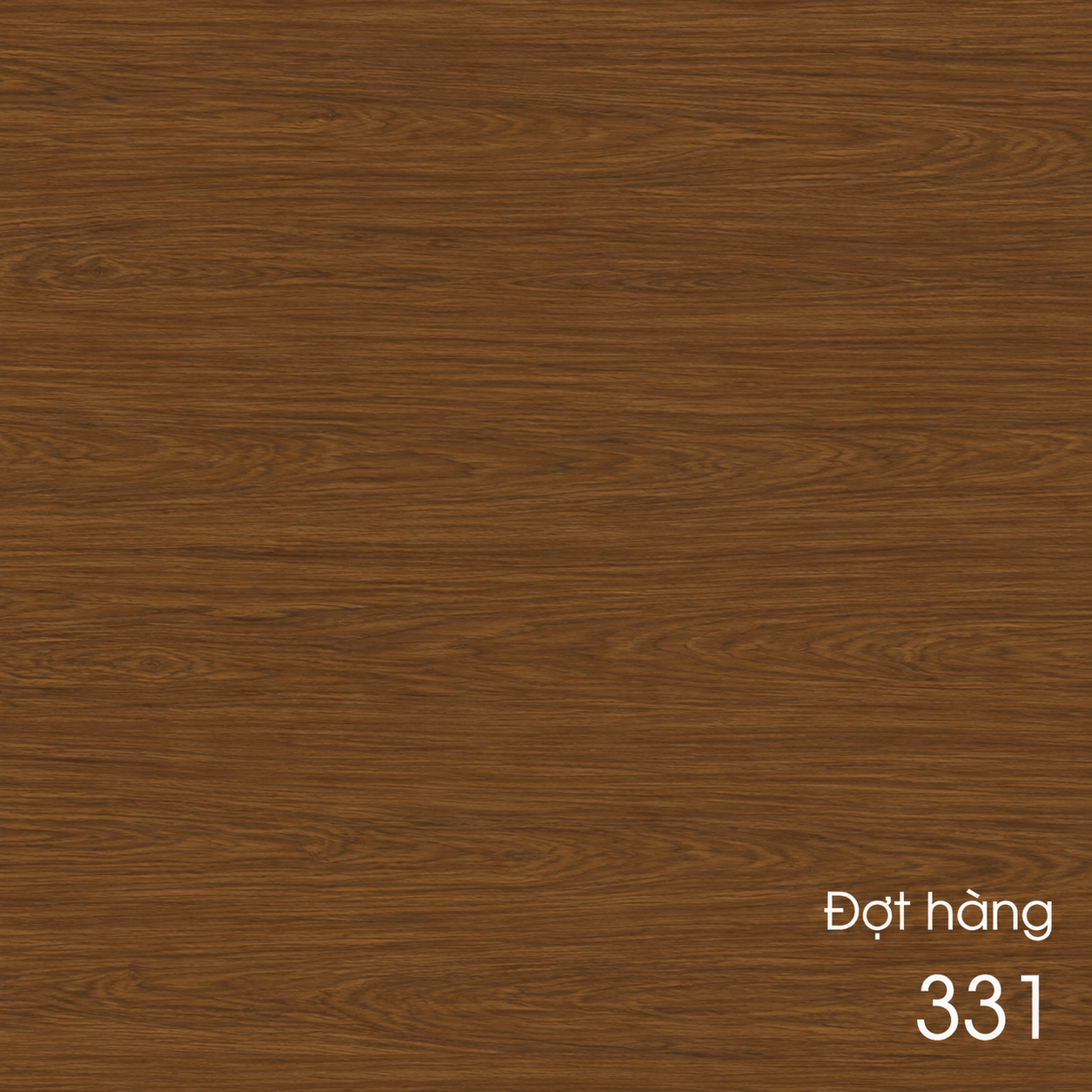 331