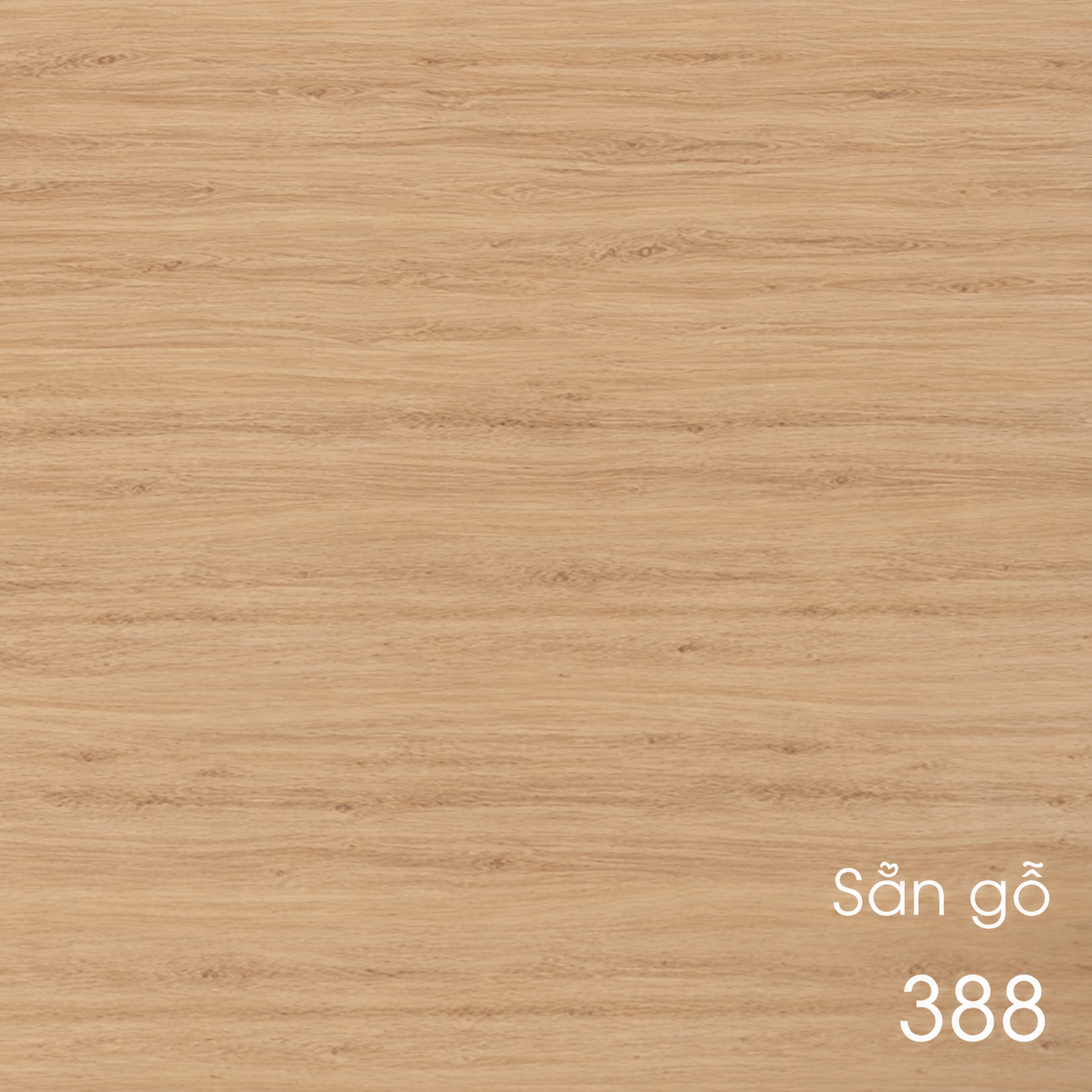 388