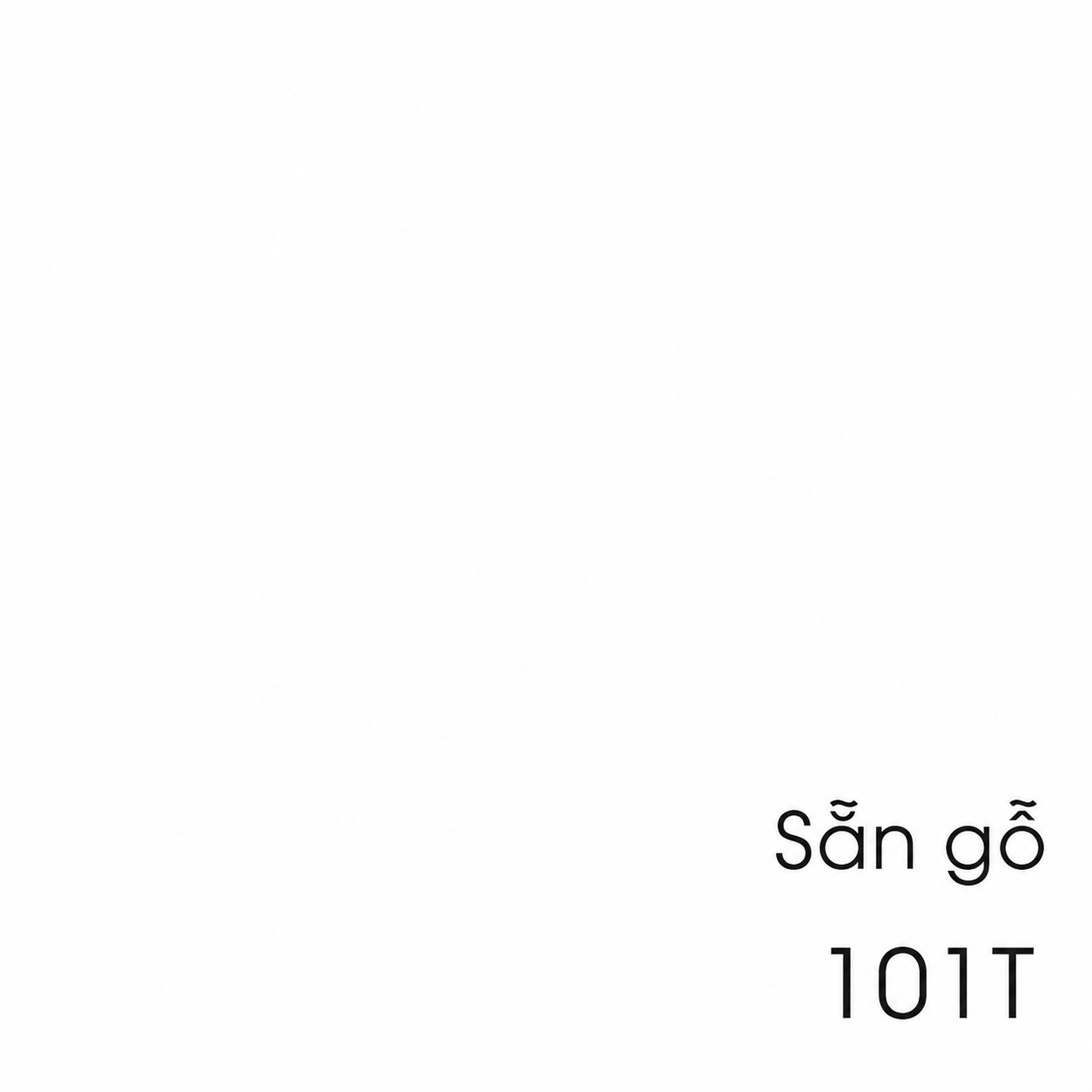 101T