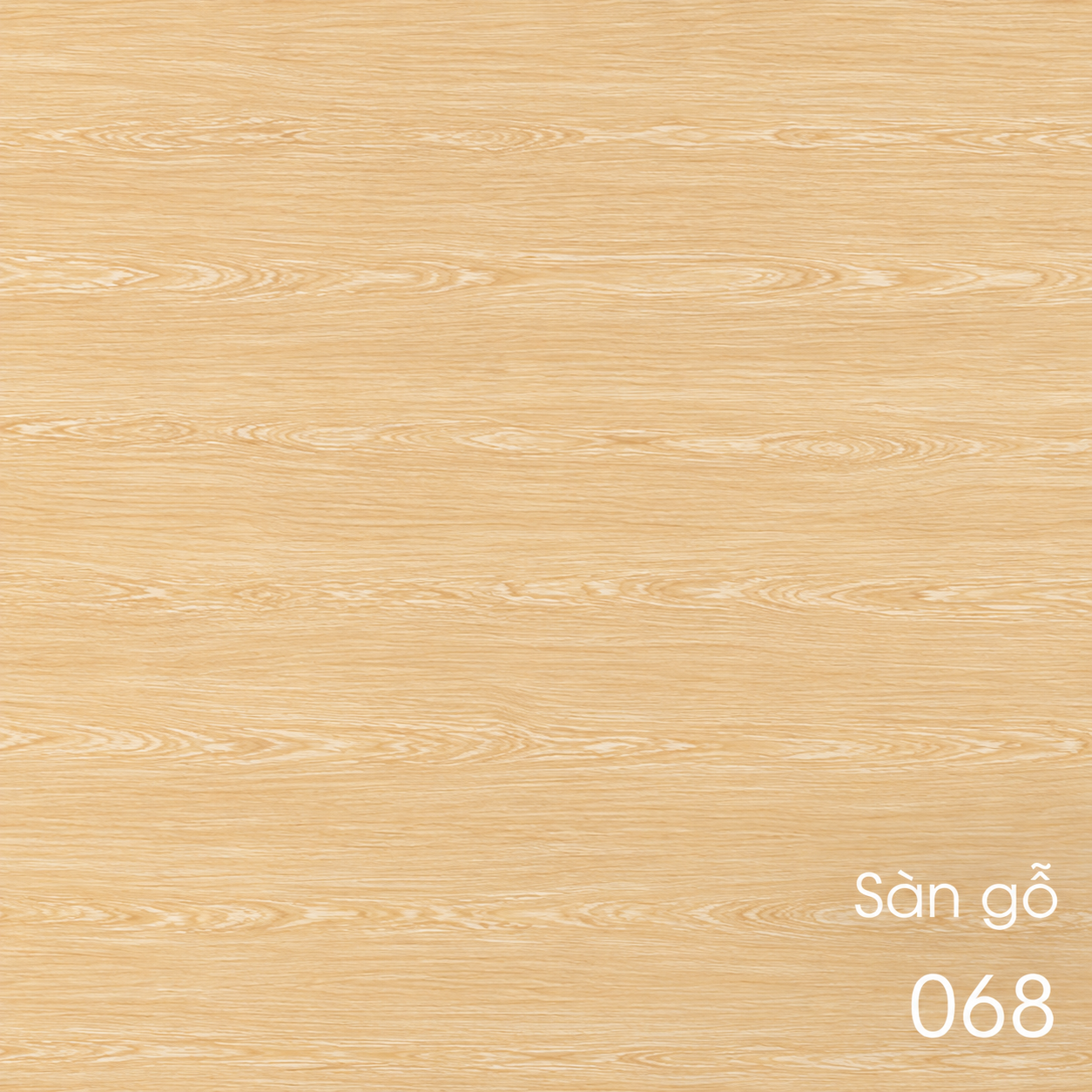 668