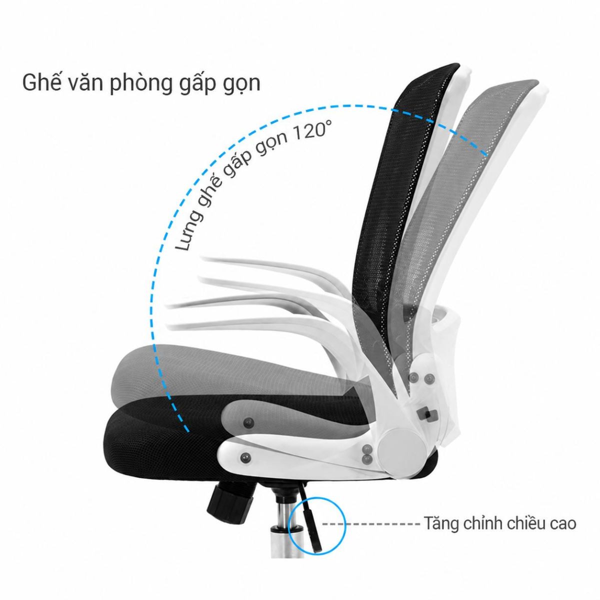 chức năng gật gù